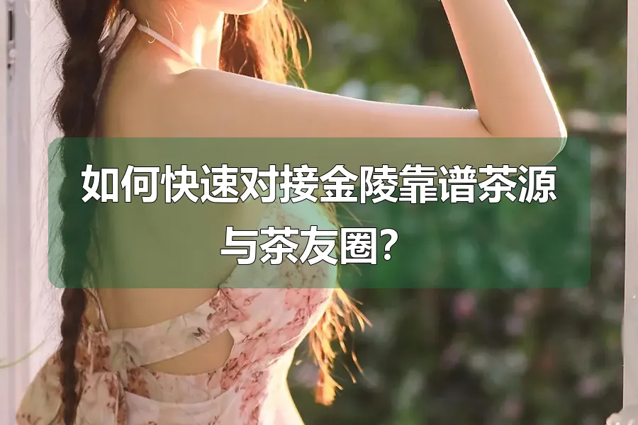 如何快速对接金陵靠谱茶源与茶友圈?
